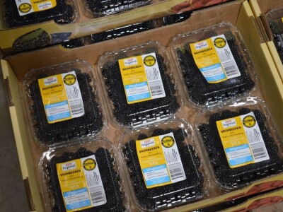 Studijsko putovanje u Njemačku