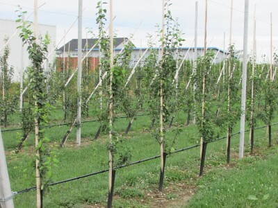 Studijsko putovanje u Njemačku