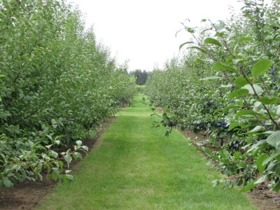 Studijsko putovanje u Njemačku