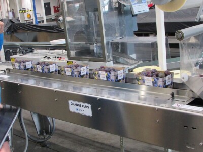 Studijsko putovanje u Njemačku