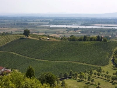 Dilj gora