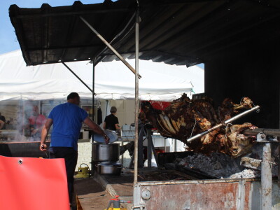Subota na 25. Proljetnom međunarodnom bjelovarskom sajmu