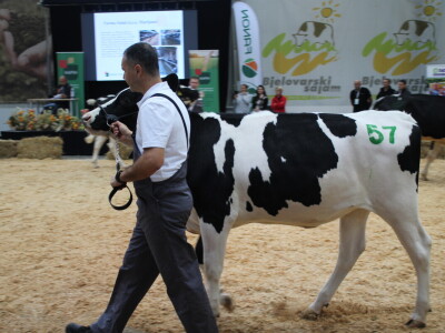 Subota na 31. Jesenskom međunarodnom bjelovarskom sajmu