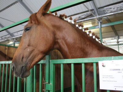 Subota na 31. Jesenskom međunarodnom bjelovarskom sajmu