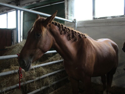 Subota na 31. Jesenskom međunarodnom bjelovarskom sajmu