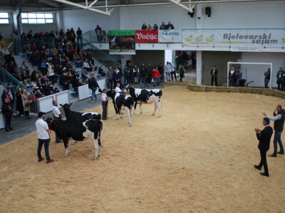 Subota na 31. Jesenskom međunarodnom bjelovarskom sajmu