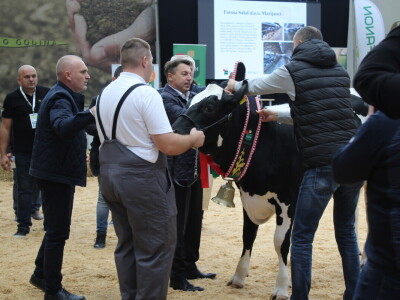 Subota na 31. Jesenskom međunarodnom bjelovarskom sajmu