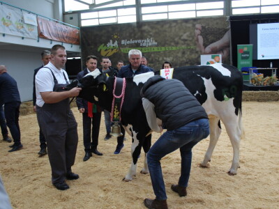 Subota na 31. Jesenskom međunarodnom bjelovarskom sajmu