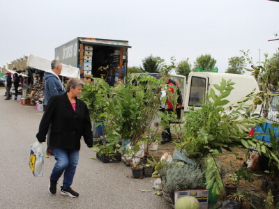 Subota na 31. Jesenskom međunarodnom bjelovarskom sajmu