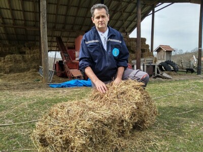Subvencije za krmna bilja Subvencije za krmna bilja