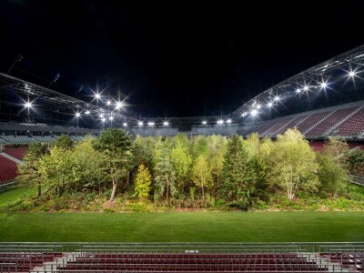 Šuma izrasla na stadionu u Klagenfurtu Šuma izrasla na stadionu u Klagenfurtu