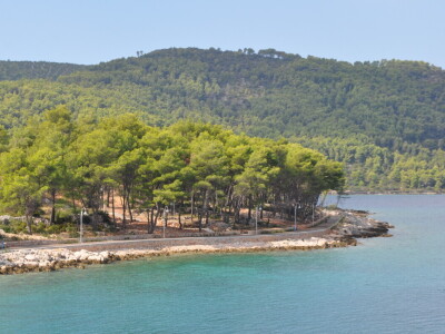 Šuma samo po sebi i jest turistička atrakcija