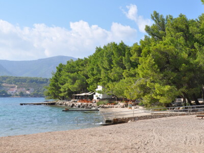 Šuma samo po sebi i jest turistička atrakcija