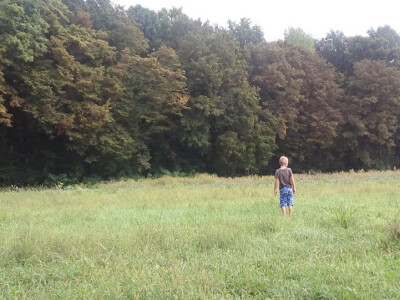 Gospodarstvo obrubljeno šumom Gospodarstvo obrubljeno šumom