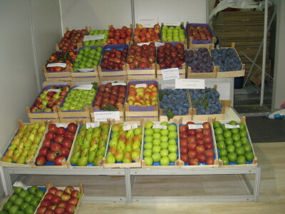 Šumadijski sajam 2018