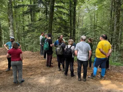 Šumari u Kalabriji