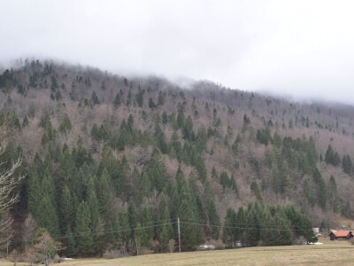 Šumarija Jasenak, UŠP Ogulin