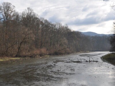 Šumarija Nova Kapela, UŠP Nova Gradiška