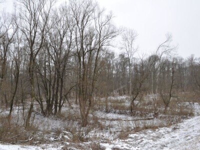 Šumarija Nova Kapela, UŠP Nova Gradiška