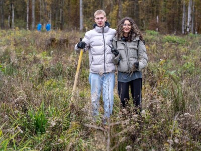 Šumoborci u Brezovici