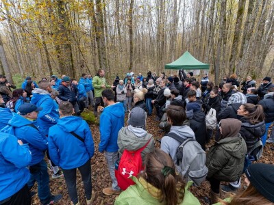 Šumoborci u Brezovici