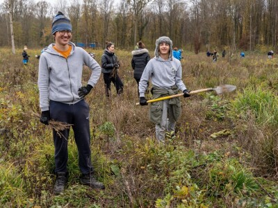 Šumoborci u Brezovici