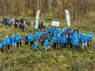 Šumoborci u Brezovici