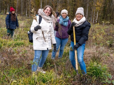 Šumoborci u Brezovici