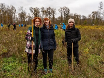 Šumoborci u Brezovici