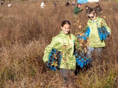 Šumoborci završili 3. sezonu pošumljavanja