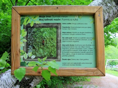 Šumska bajka OPG-a Denis Juričić