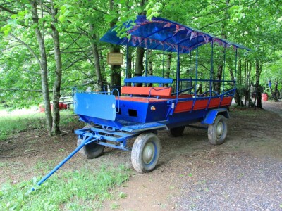 Šumska bajka OPG-a Denis Juričić