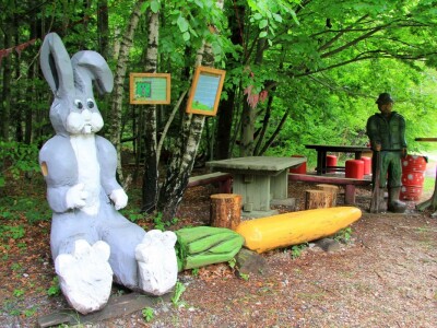 Šumska bajka OPG-a Denis Juričić