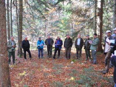 Šumski predjel Devčića tavani Šumski predjel Devčića tavani