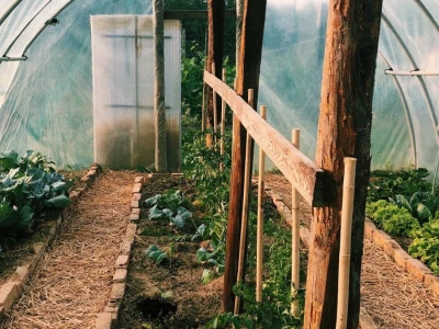 Sun and Moon Garden