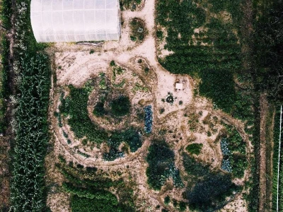 Sun and Moon Garden