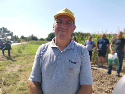 Suncokret će podbaciti, rod soje će biti dobar Suncokret će podbaciti, rod soje će biti dobar