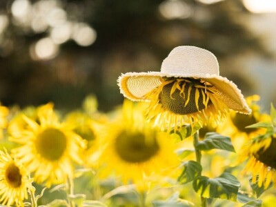 RuralFoto 2025 - TOP 10 fotografija u kategoriji #Proizvodnja