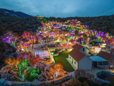 Suncokretova mreža - selo, izložba i inovacija