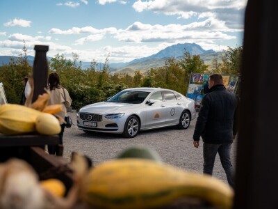 Suncokretova mreža u Gornjim Poljicama
