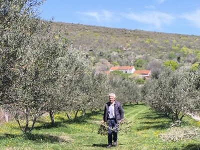 Did Mirko, sin Branimir i unuk Vid oživili didovinu u Rodaljicama Did Mirko, sin Branimir i unuk Vid oživili didovinu u Rodaljicama
