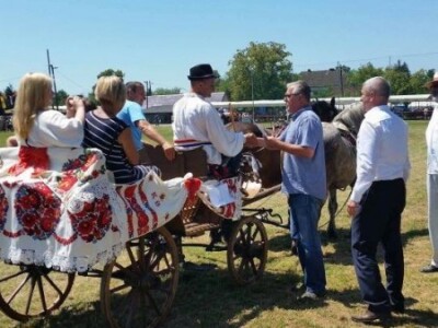 Sunja najljepša zaprega Sunja najljepša zaprega