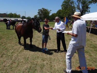Šampion posavac Šampion posavac