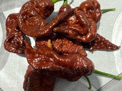 Super ljute papričice Omera Mešanovića