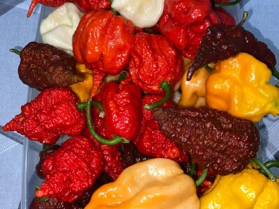 Super ljute papričice Omera Mešanovića