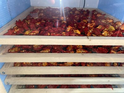 Super ljute papričice Omera Mešanovića