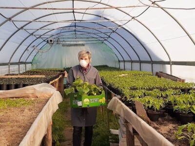 Supermeni iz školskih plastenika