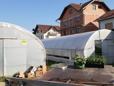 Supermeni iz školskih plastenika