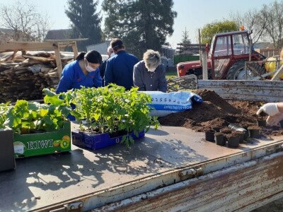 Supermeni iz školskih plastenika