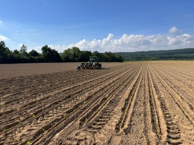 Suradnja Timac Agra s Agroduhanom - sadnja duhana